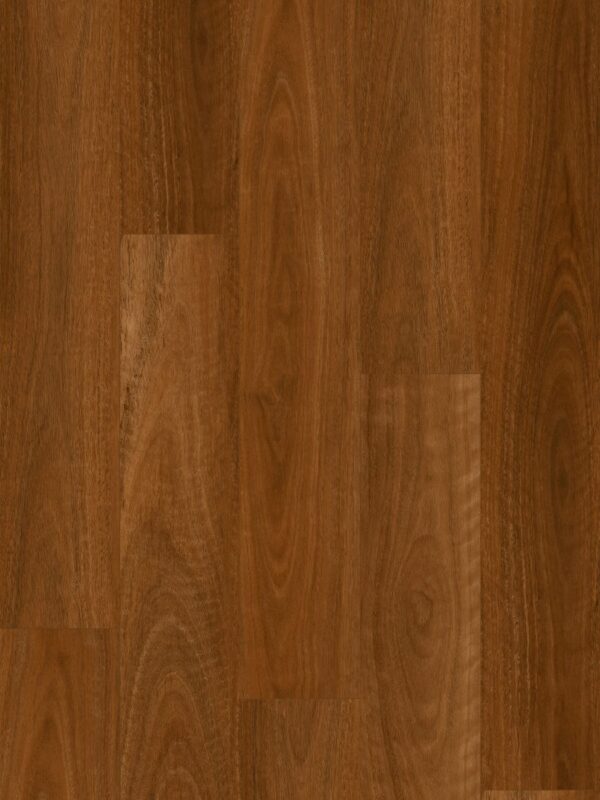 Wonderwood Australian Spotted Gum hybrid flooring plank