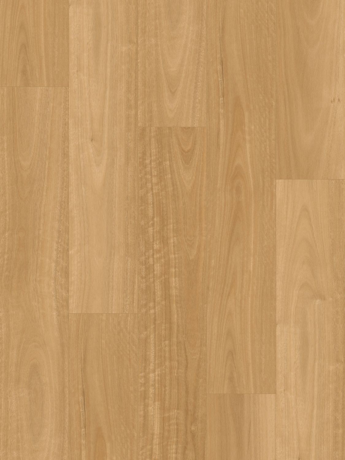 Best Flooring for Dogs and Kids in Australia