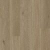 Wonderwood Coastal Clay