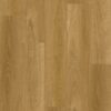 Wonderwood Eastern Blackbutt