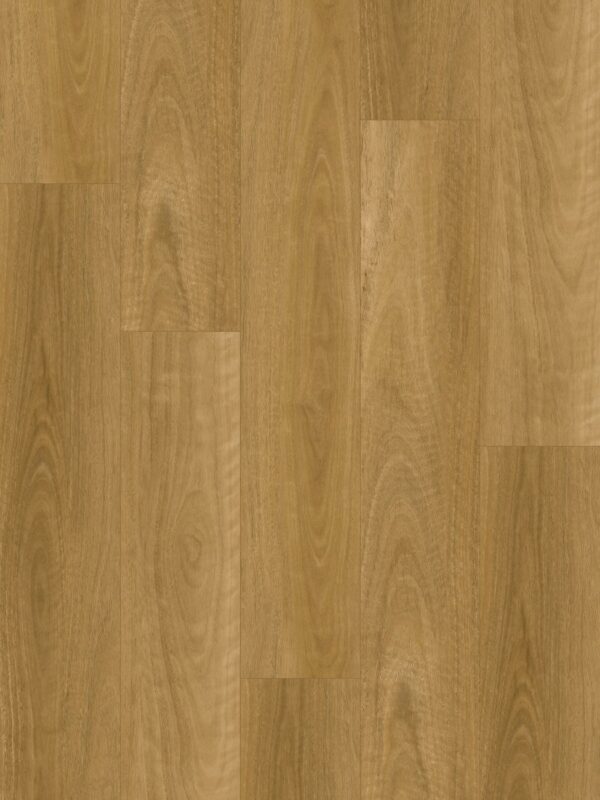 Wonderwood Eastern Blackbutt Hybrid Flooring