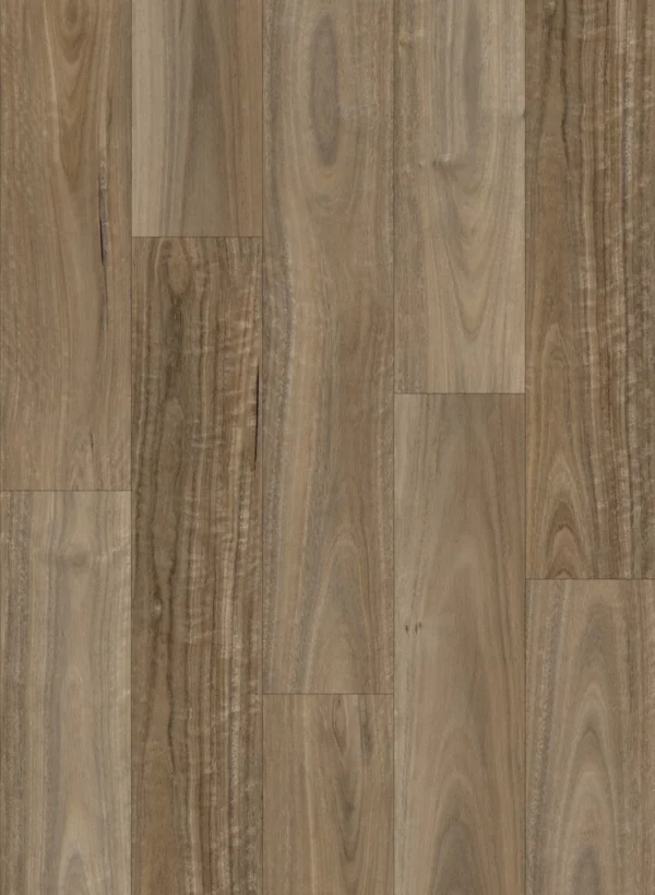 Ornato Grande Ghost Gum Hybrid Flooring