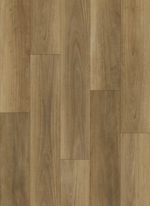 Ornato Grande Northen Spotted Gum Hybrid Flooring