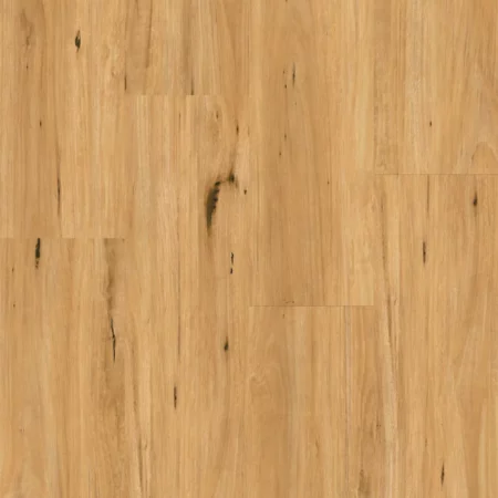 Ornato XXL Coastal Blackbutt Hybrid Flooring