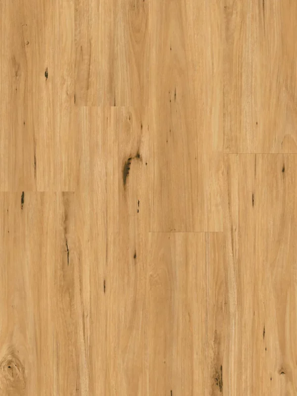 Ornato XXL Coastal Blackbutt Hybrid Flooring