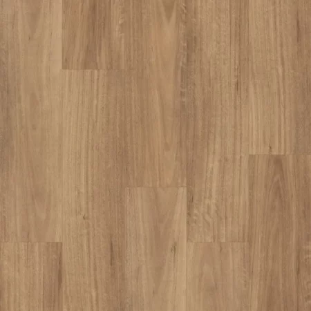 Eco Flooring Swish Aqua QLD Spotted Gum laminate flooring