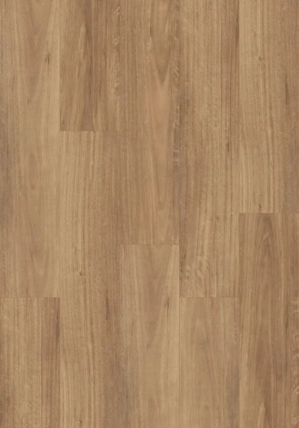 Swish Aqua QLD Spotted Gum Laminate Flooring