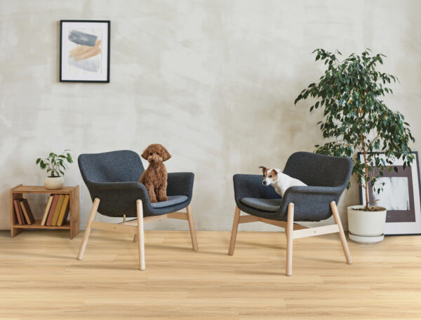Virtuo Classic 55 XL Eucalyptus Blackbutt Luxury Vinyl Flooring Scene