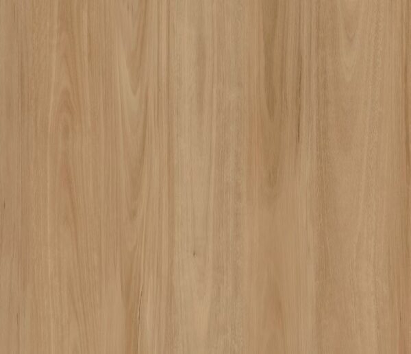 Artifloor Timberland 2.5 Natural Blackbutt Vinyl Plank Flooring