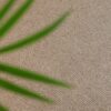 EC Bahamas Barbados Wool Carpet Scene 1