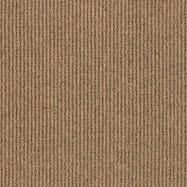 EC Bahamas Cayman carpet