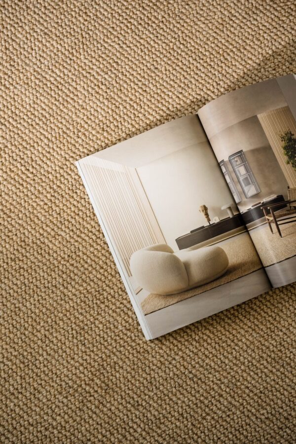EC Bahamas Dawson Falls Sunlit Wool Carpet Scene 2