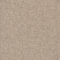 EC Acacia Hill Alton Nylon Carpet