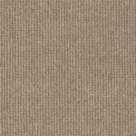 EC Acacia Hill Atkins Nylon Carpet