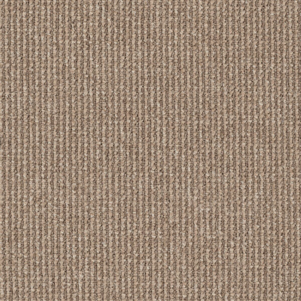 EC Acacia Hill Atkins Nylon Carpet