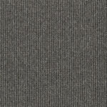 EC Acacia Hill Myrtle Nylon Carpet