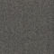 EC Acacia Hill Myrtle Nylon Carpet