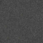 EC Acacia Hill Magnolia Nylon Carpet