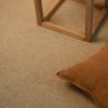 EC Andes Peak Olca Nylon Carpet Scene 1