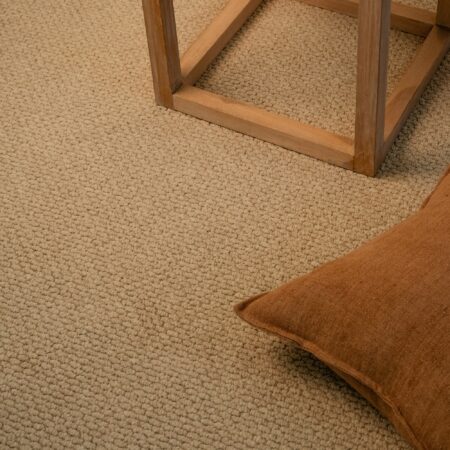 EC Andes Peak Olca Nylon Carpet Scene 1