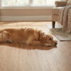 Clever Choice Ocean Rosy Blackbutt Vinyl Flooring Scene 1