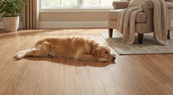Clever Choice Ocean Rosy Blackbutt Vinyl Flooring Scene 1