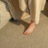 EC Andes Peak Patilla Nylon Carpet Scene. 1