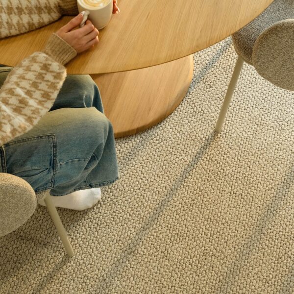 EC Andes Peak Serena Nylon Carpet Scene 1