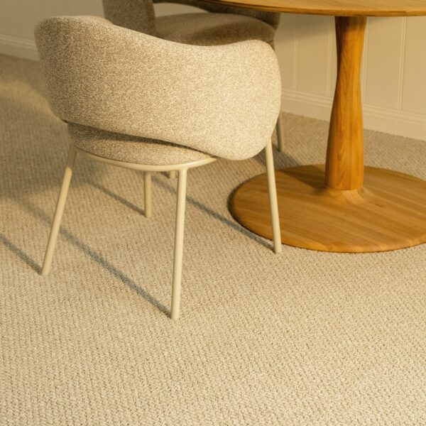 EC Andes Peak Serena Nylon Carpet Scene 2