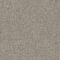 EC Andes Peak Isabel Nylon Carpet