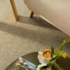 EC Andes Peak Isabel Nylon Carpet Scene 1
