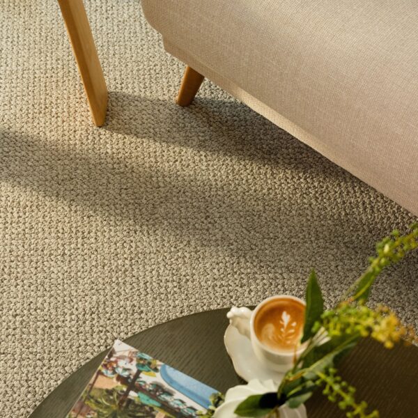 EC Andes Peak Isabel Nylon Carpet Scene 1