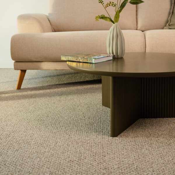 EC Andes Peak Isabel Nylon Carpet Scene 2