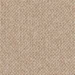EC Andes Peak Valera Nylon Carpet