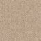 EC Andes Peak Valera Nylon Carpet