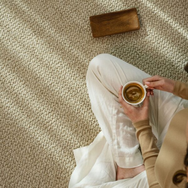 EC Andes Peak Valera Nylon Carpet Scene 1