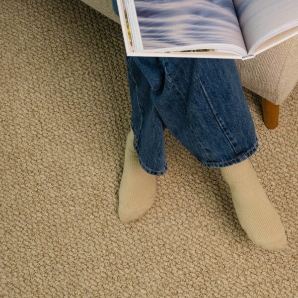 EC Andes Peak Valera Nylon Carpet Scene 2