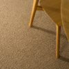 EC Andes Peak Rio Nylon Carpet Scene 1