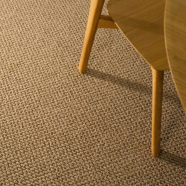 EC Andes Peak Rio Nylon Carpet Scene 1