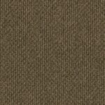 EC Andes Peak Rubio Nylon Carpet