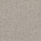 EC Andes Peak Hudson Nylon Carpet