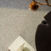 EC Andes Peak Hudson Nylon Carpet Scene 1