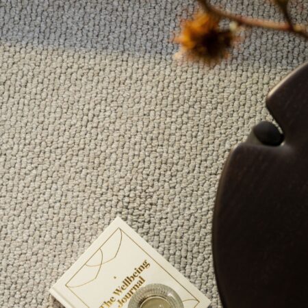 EC Andes Peak Hudson Nylon Carpet Scene 1