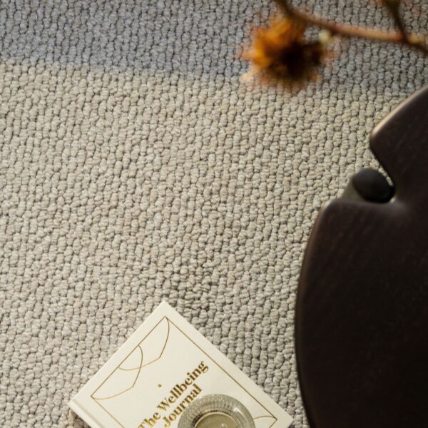 EC Andes Peak Hudson Nylon Carpet Scene 1