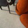 EC Andes Peak Hudson Nylon Carpet Scene 2