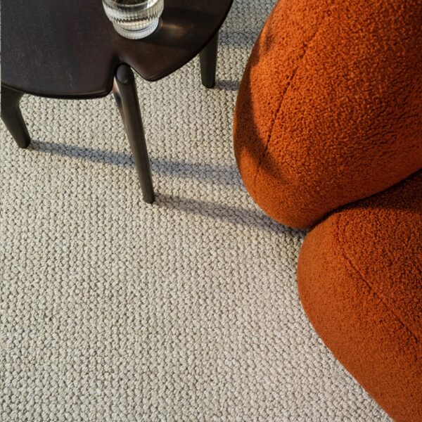 EC Andes Peak Hudson Nylon Carpet Scene 2
