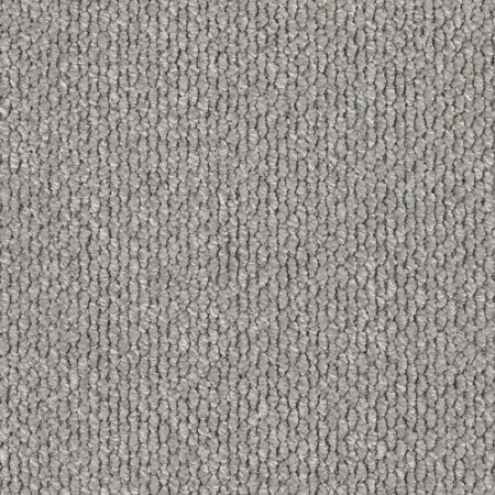 EC Andes Peak Mendoza Nylon Carpet