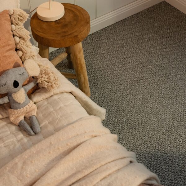 EC Andes Peak Mendoza Nylon Carpet Scene 2