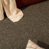 EC Andes Peak Patagonia Nylon Carpet Scene 1