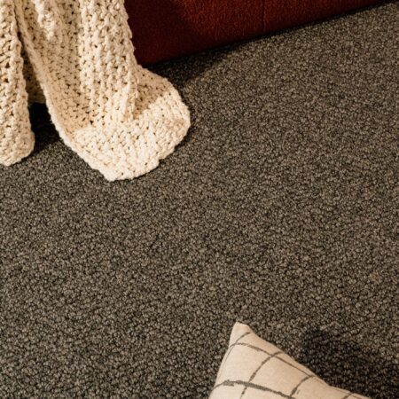 EC Andes Peak Patagonia Nylon Carpet Scene 1